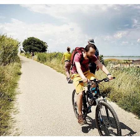 Chaleureux Avec Vue Sur Le Canal Et Les Etangs